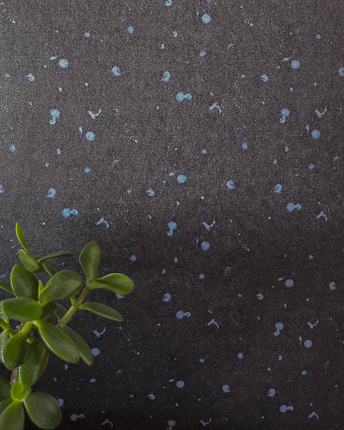 Selene abstract wallpaper in midnight blue